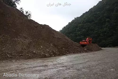 جنگل های ایران